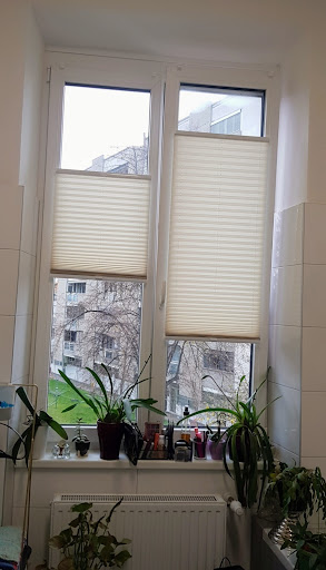 Sonnenschutz Riese - Visual
