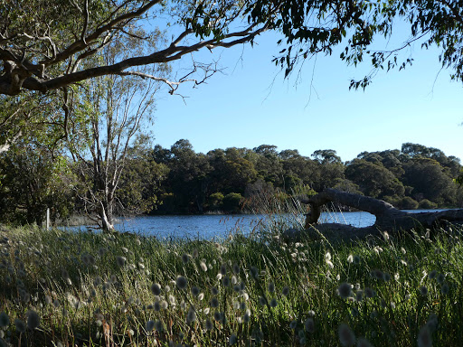 Lake Gwelup Reserve North West - Thumbnail