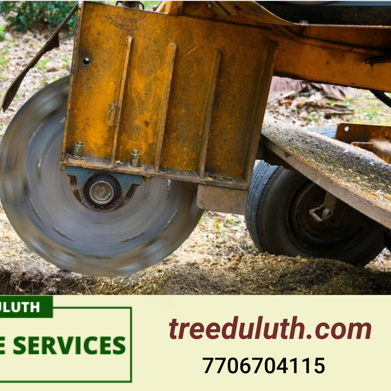 Tree Service Duluth GA