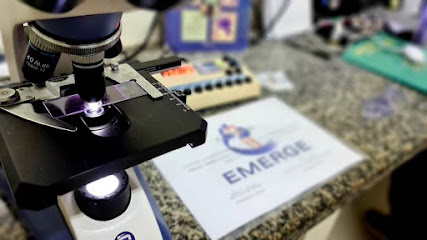 EMERGE Centro de Diagnóstico Médico Veterinário