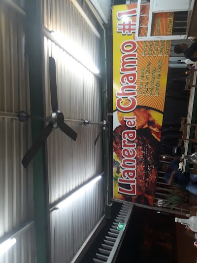 Photos of Llanera La Union