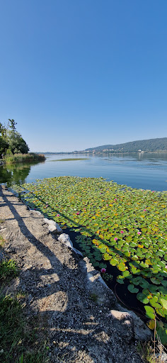 Pista ciclabile lago di Comabbio - Thumbnail