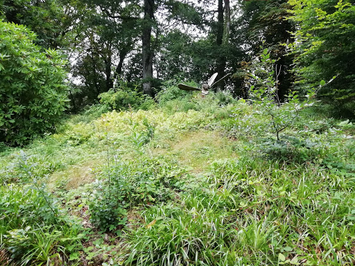 Bodmin - Visual