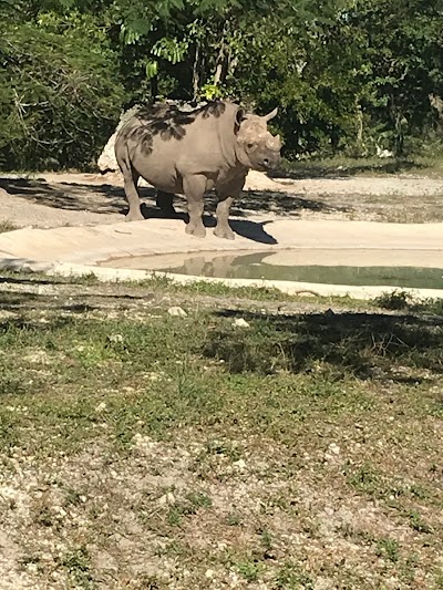 Miami Metro Zoo