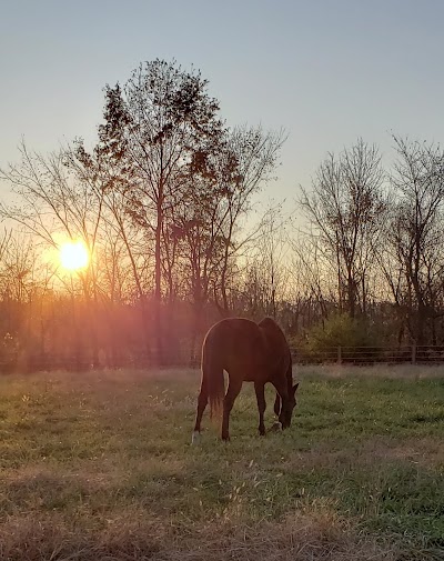 Heavenwood Farm