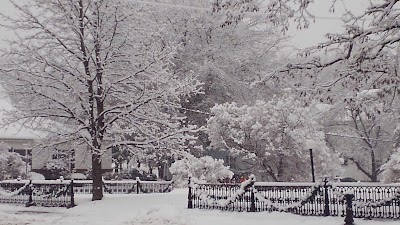 Pittsfield Town Hall