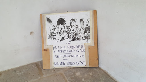 Libreria Il Gabbiano di Minasso Marcello