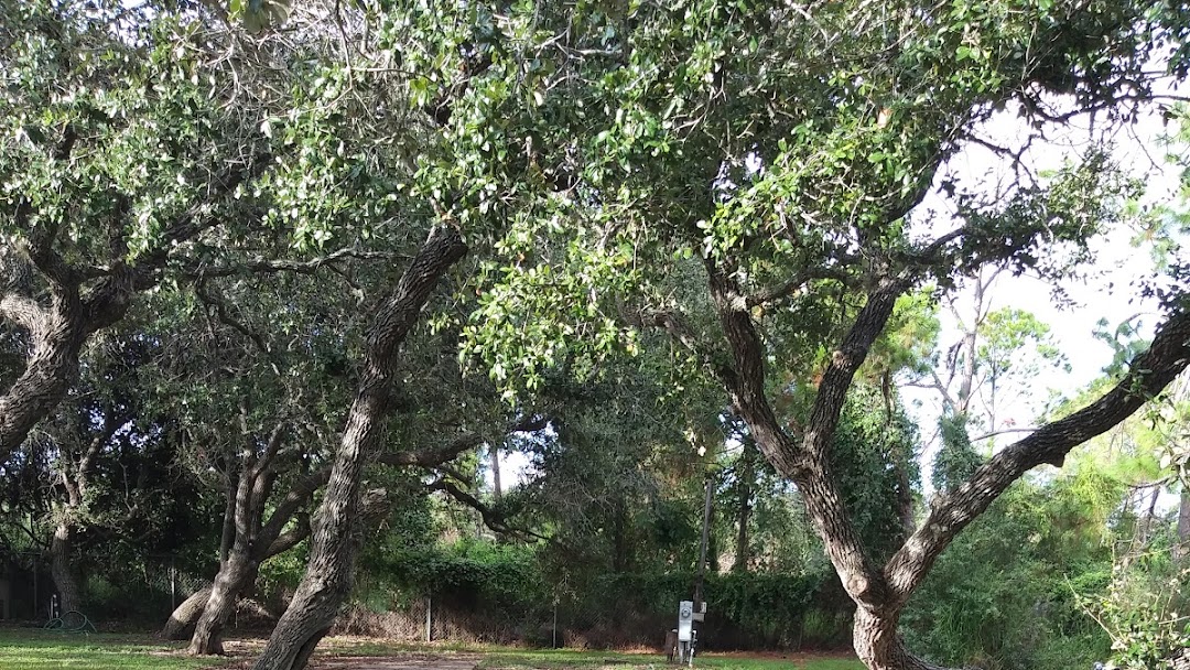 Paladin Oaks RV Rentals RV Park in Ingleside