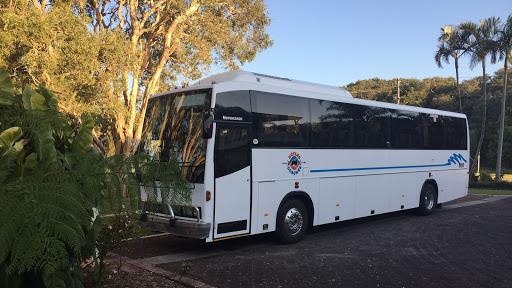 Doyle's Coaches Logo