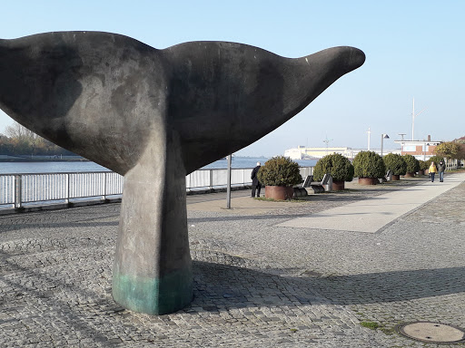 Vegesack - Visual