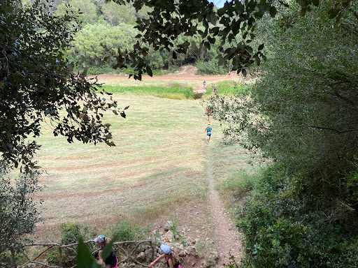 Camí Natural Camí de Cavalls - Pas del barranc de La Cova Gallery - Spain