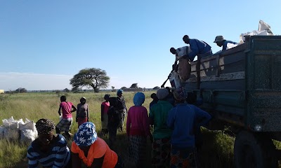 photo of Sikondo Irrigation Farm