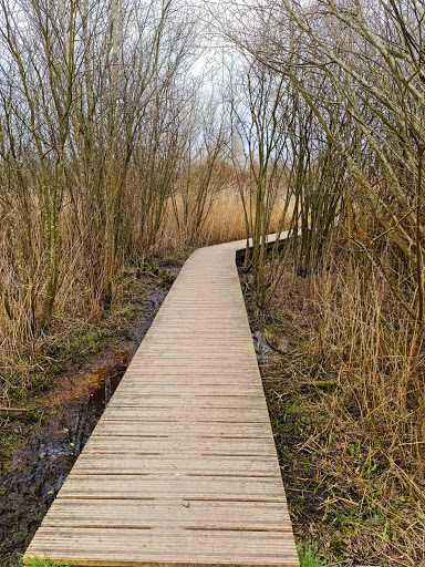Vogelobservatorium 'Tij' Haringvliet - Thumbnail