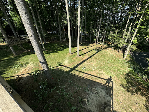 NICOLAS TREE SERVICE - Thumbnail