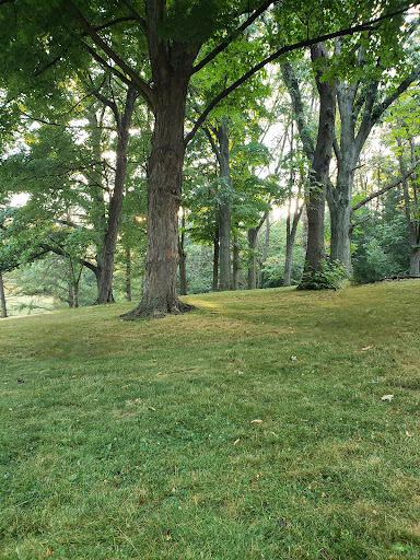 Emily’s Park