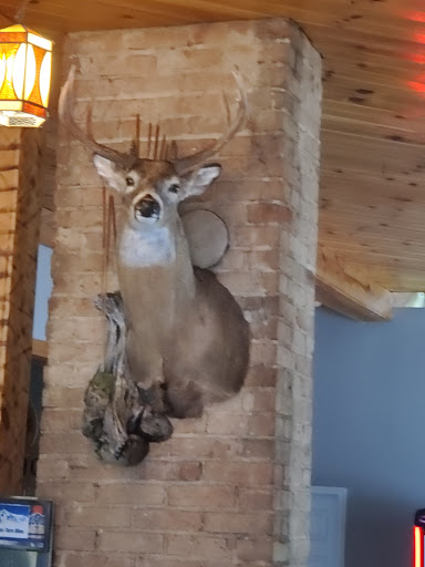 Animal Art Taxidermy Studio - Thumbnail