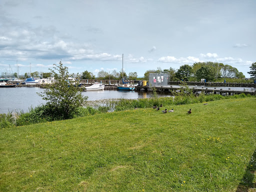 Ballyronan Marina Gallery - United Kingdom