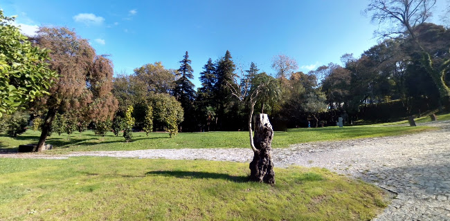 Parque Da Ponte - Campo de futebol