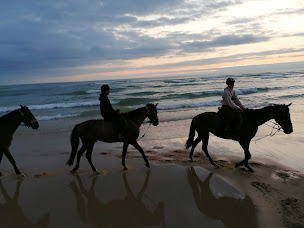 Photo n°25 de Olivier BAUER à Saint-Paul-en-Born (Centre équestre)