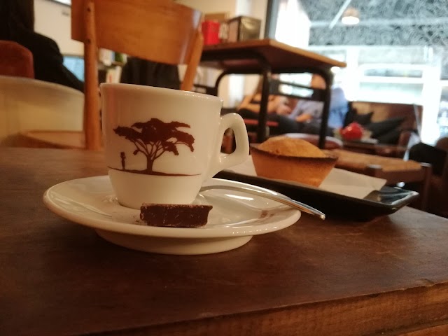 Questo Non È Un Bar