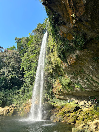 Cascada Misol Ha Gallery - Mexico
