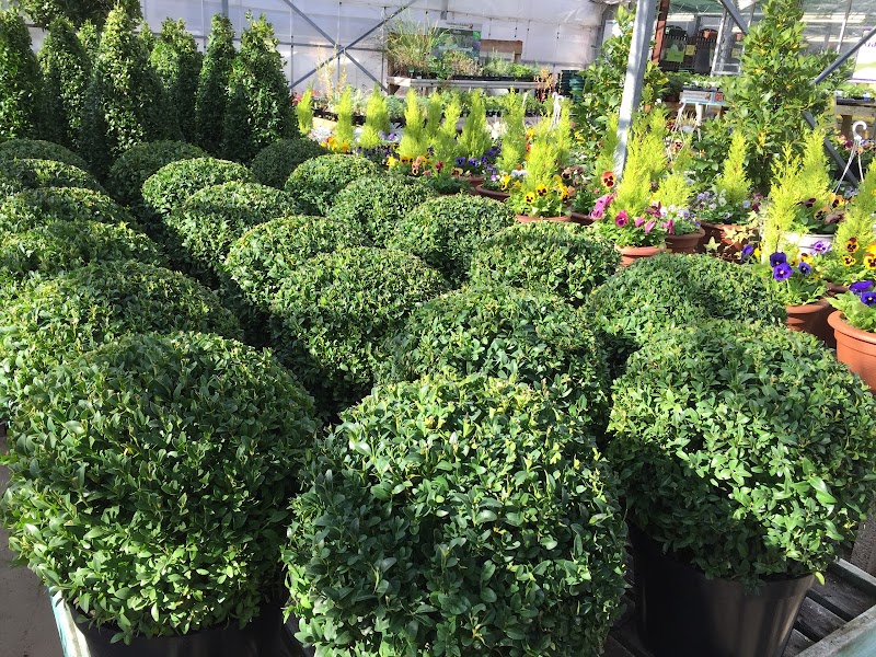 Nuyard Beechcroft Garden Centre photo 3