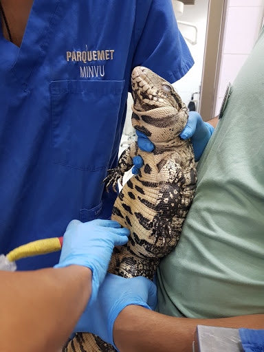 ANIMALES EXÓTICOS 24H - Veterinarios especialistas