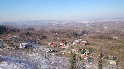 Photos of Yeşiltepe tea garden