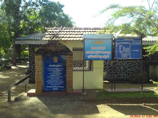 Batepola Maha Vidyalaya, Author: Nadeeshani Sri