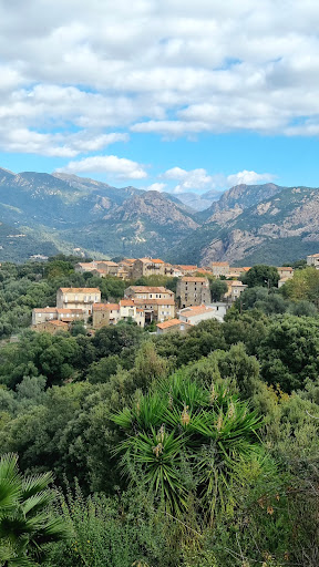Photo de Suarella à Suarella (20117)