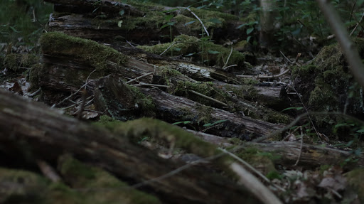 Wanderhütte "Heidenweg" - Thumbnail