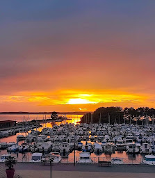 Photo n°4 de Sea Fly à Hourtin (Agence d'excursions en bateau)