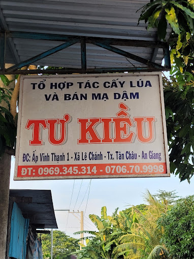 Cửa Hàng Lúa Giống Tư Kiều