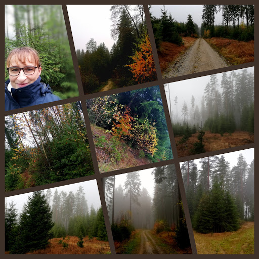 Natur- und Waldtrainerin MachsEinfach - Thumbnail