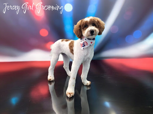 Jersey Girl Grooming LLC - Thumbnail
