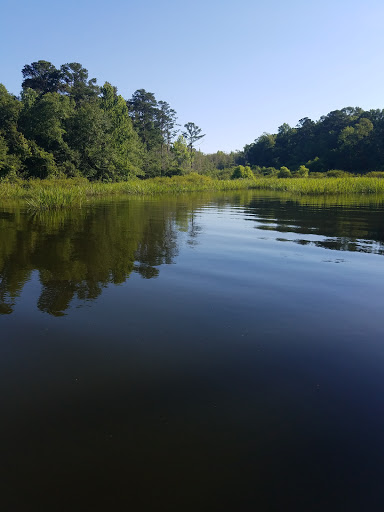 Boat Landing - Thumbnail