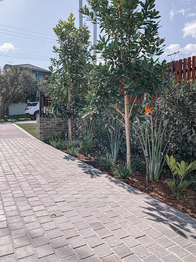 Sustainable & Eco-Friendly Landscaping Solutions in Sydney