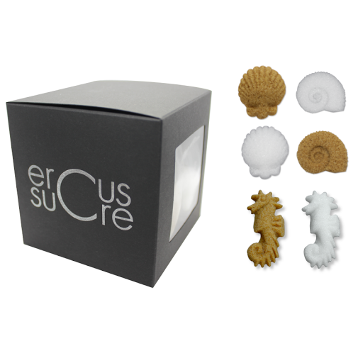 Ercus - Visual
