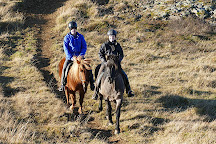 Iceland Horse Tours, Saudarkrokur, Iceland