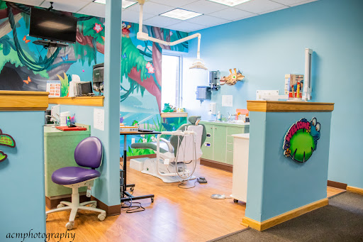 Safari Smiles Pediatric Dentistry: Hyun Choi, DDS