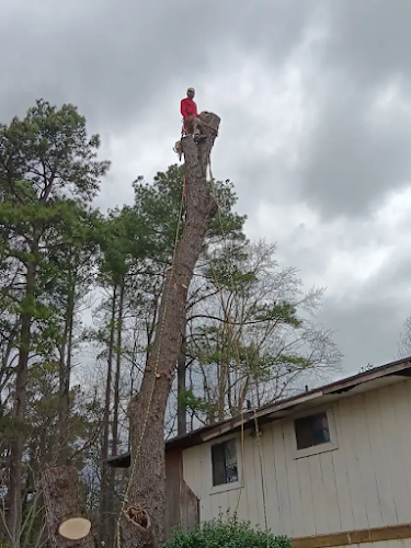 Matias Landscaping LLC and Tree Services