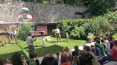 World of Flight Bird Show