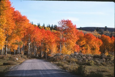 Carbon County Visitor