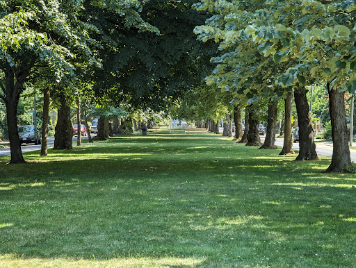 Hunter Boulevard