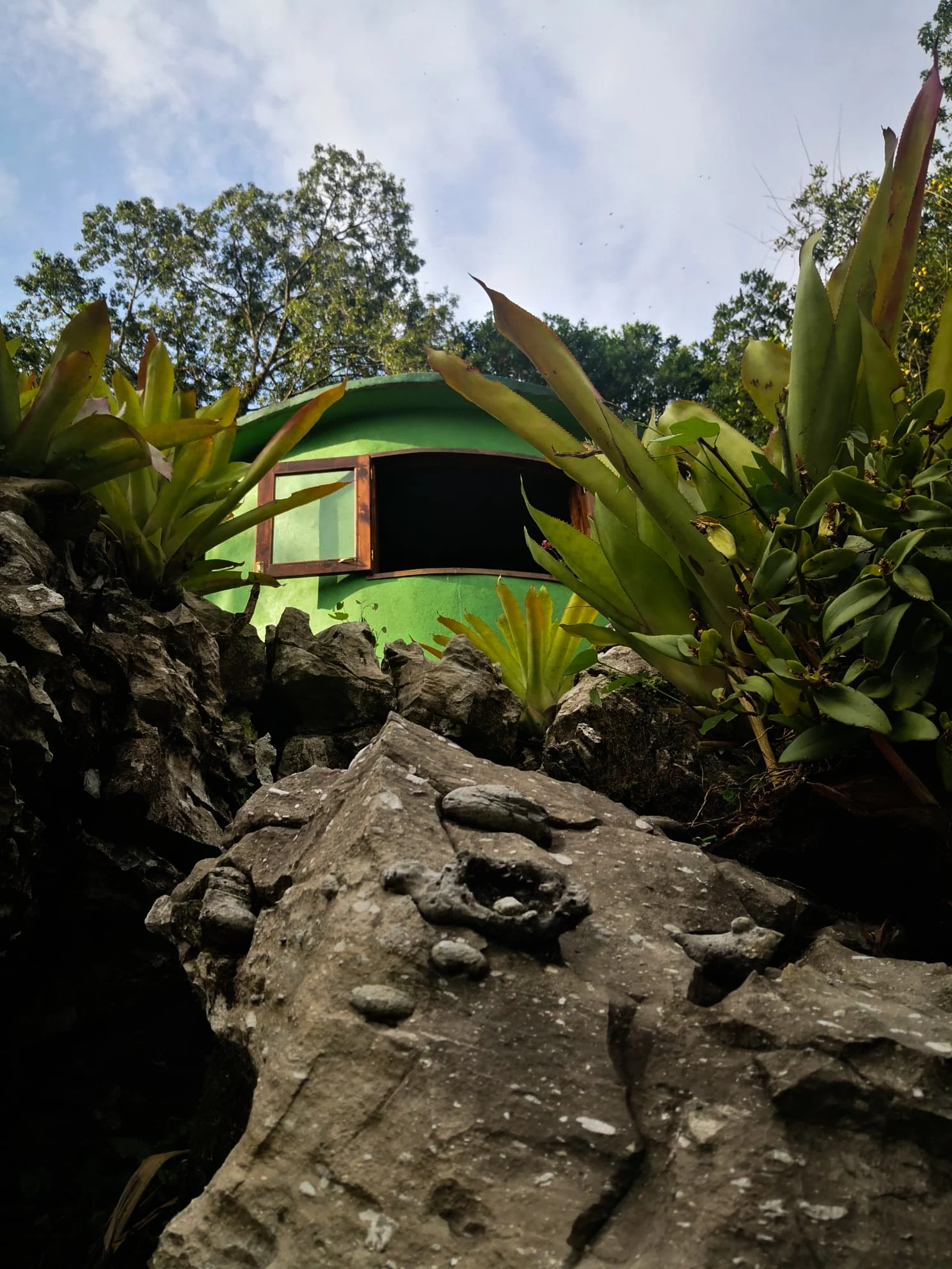Rabbit Home