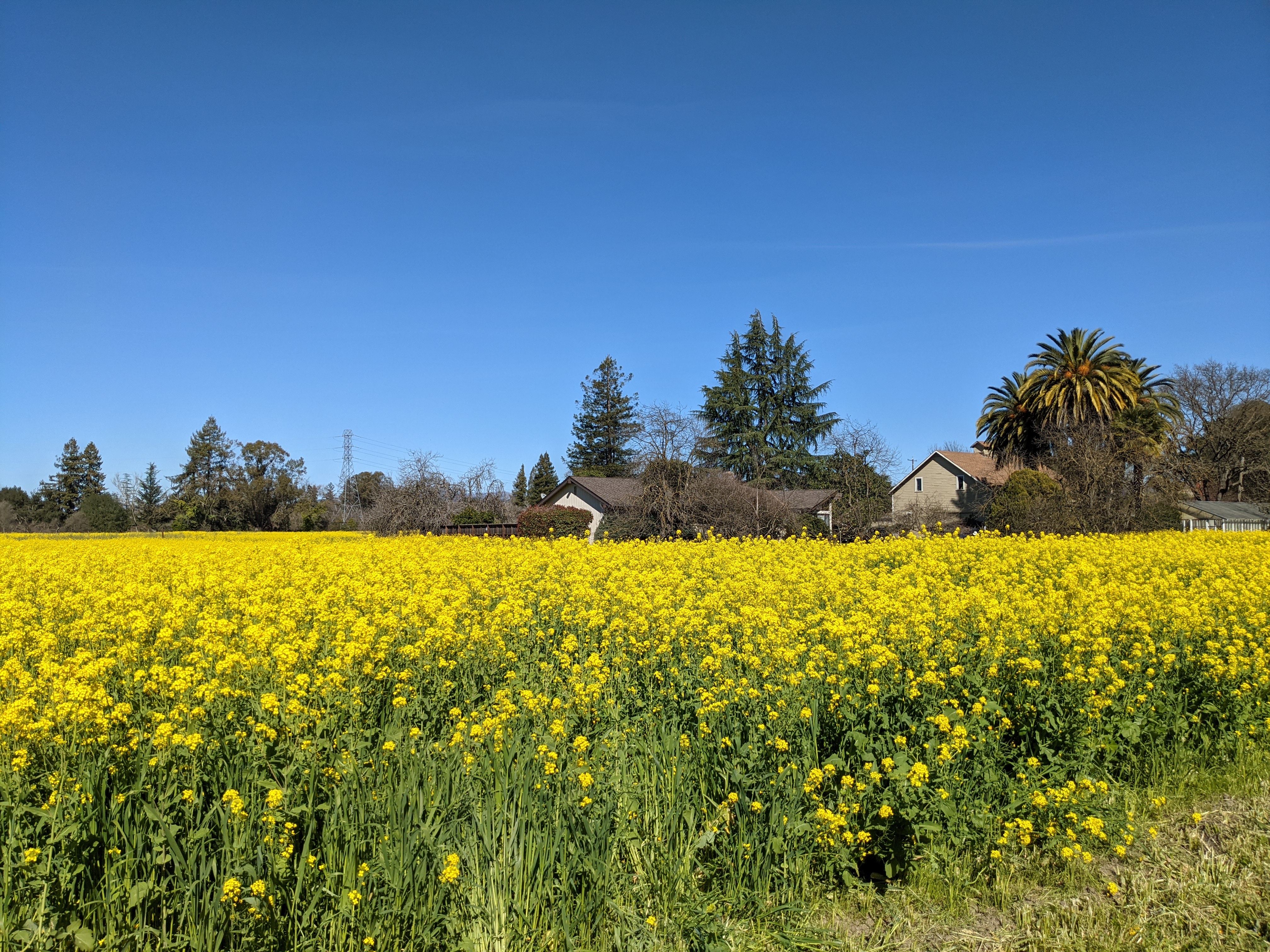 Imwalle's Gardens