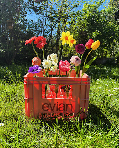 Billie et les fleurs - Thumbnail