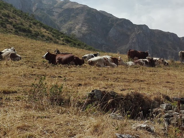 Prato Nevoso