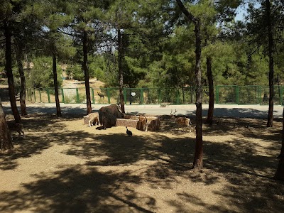 Safari Park Gaziantep