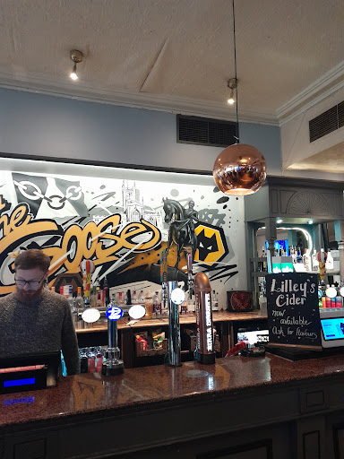 Goose Wolverhampton - Visual